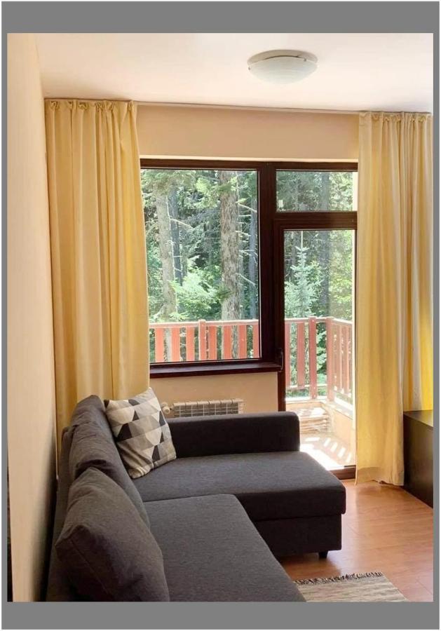 Flora Ski-Slope Studio Apartment Borovets Exteriör bild