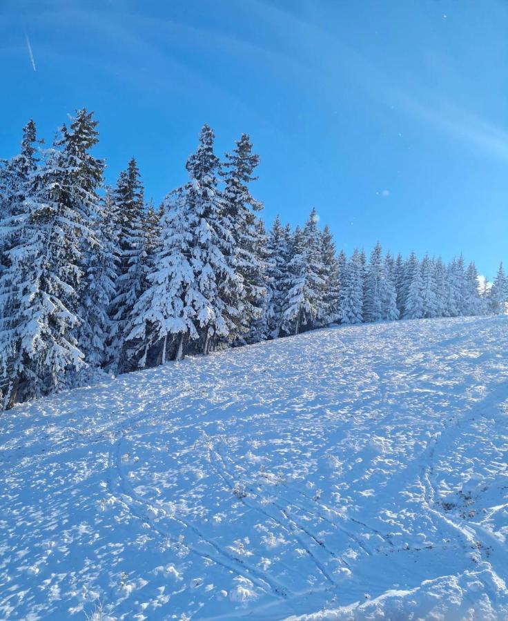 Flora Ski-Slope Studio Apartment Borovets Exteriör bild