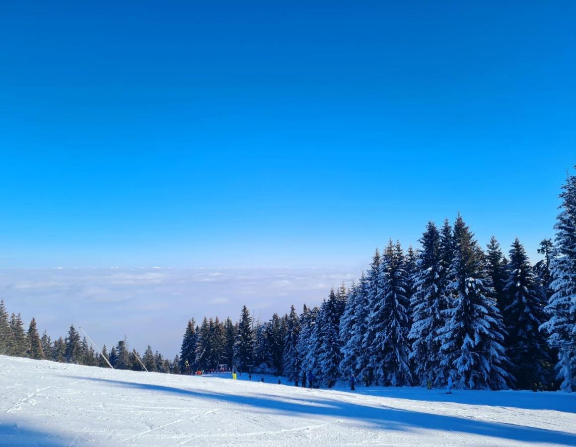 Flora Ski-Slope Studio Apartment Borovets Exteriör bild