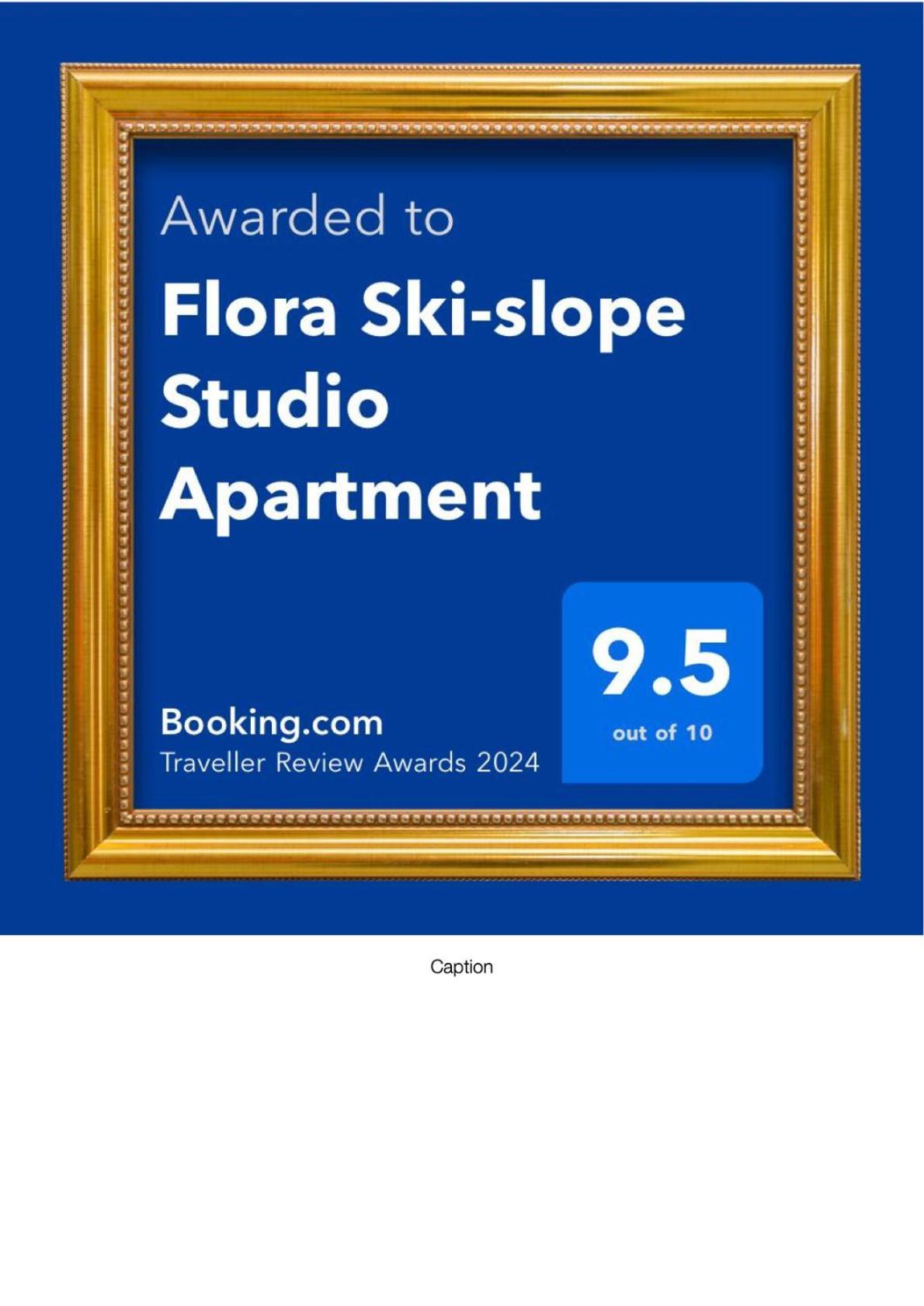 Flora Ski-Slope Studio Apartment Borovets Exteriör bild